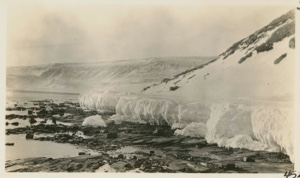 Image of Ice foot